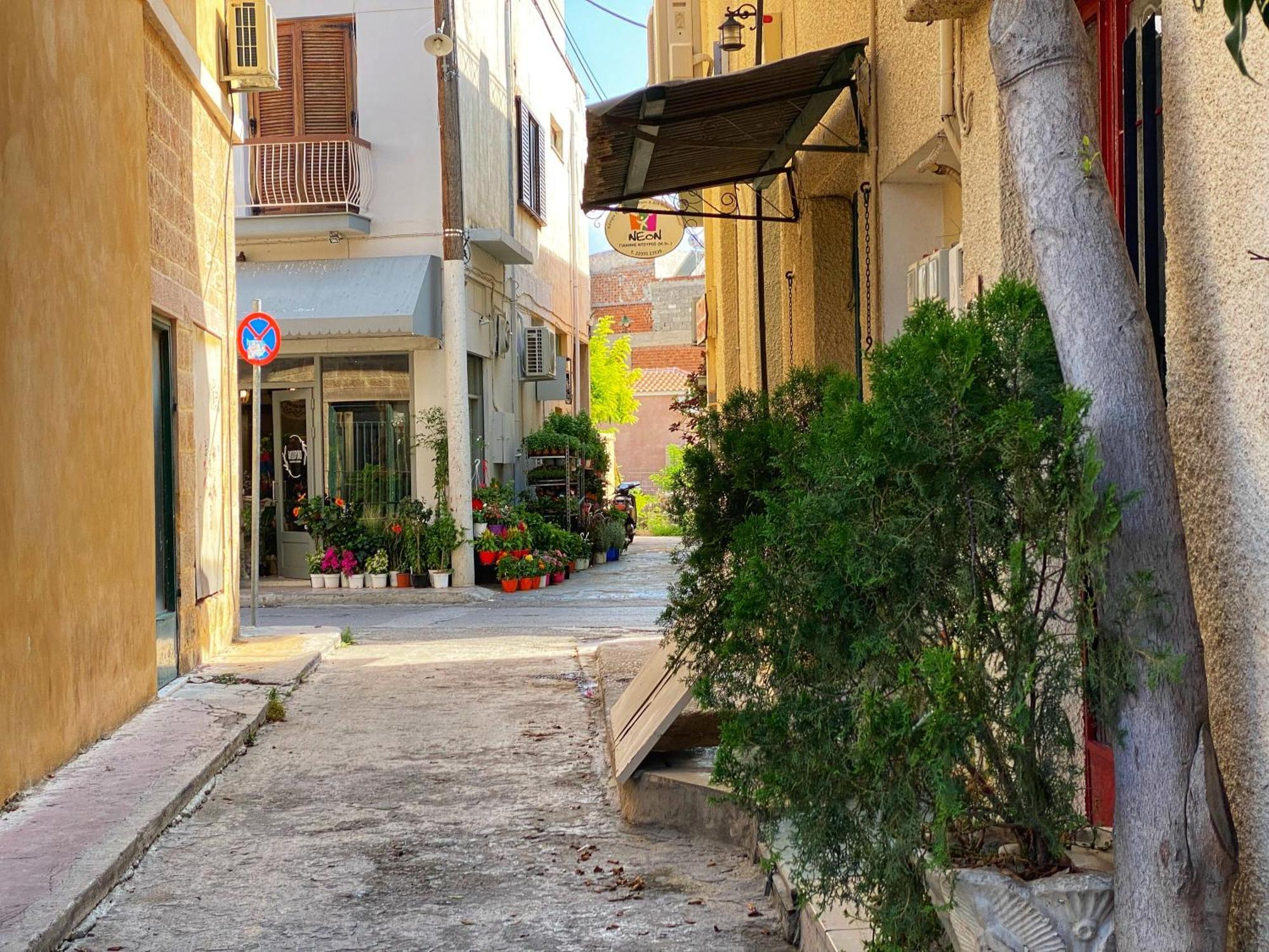 Nasos Aegina Apartment Exteriér fotografie